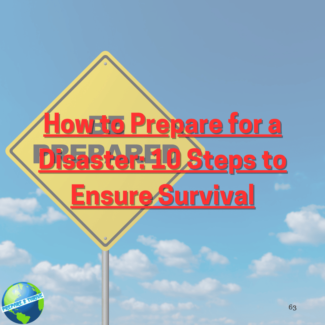 How to Prepare for a Disaster: 10 Steps to Ensure Survival